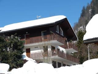 Proche pistes, 6-7 pers, cheminée, garage, La Clusaz - FR-1-304-103 - 6