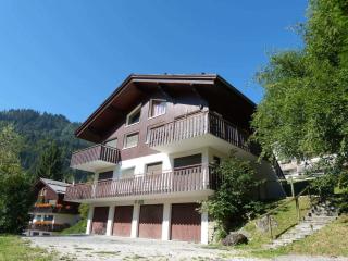 Proche pistes, 6-7 pers, cheminée, garage, La Clusaz - FR-1-304-103 - 5