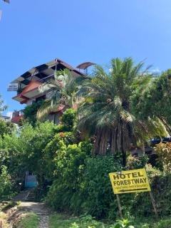 HOTEL FORESTWAY Hostel & Backpackers - 7