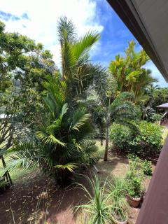 Rupe Rupe Lodge - Uturoa - 9