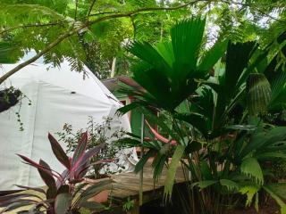 Glamping Naioth - Guápiles - 3