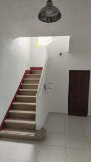 Suite Ajolote by Casa Morena - Città del Messico - 1