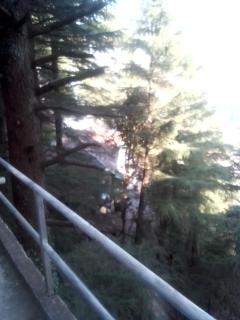 Himalayan Hostel Triund Trekking Hostel - 1