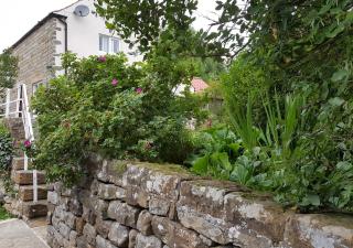 Rockley Cottage - Egton - 2