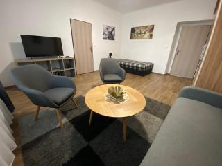 Černá Růže - Apartmán 3 - Plzeň - 7