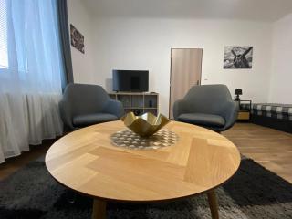 Černá Růže - Apartmán 3 - 9