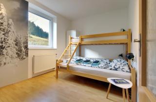 Apartment Michaela - Pec pod Sněžkou - 9