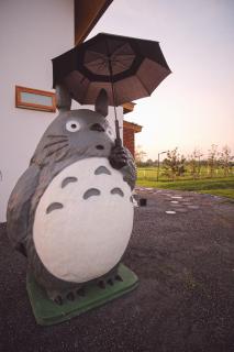 Baanteimfan Pool Villa Suphanburi - 4