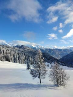 Hög Alm Serfaus - 5
