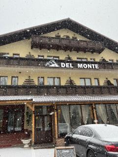 Del Monte Predeal - Predeal - 9