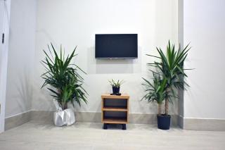 Central location LOFT Apartment - 5