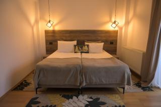 Pensiunea Alpin Predeal - Predeal - 9