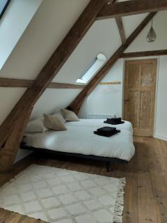 B&B 'Hof Baaiweg' met Barrelsauna - 1