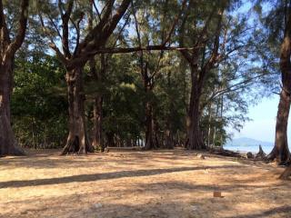 Malai Maikhao Near Beach - Ban Mai Chalae - 7