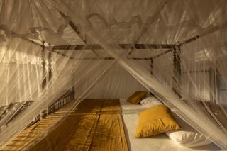 Gileemale Walawwa & Estate - 8