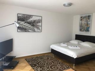 Bright studio in the city center - Greenyard 1 - Zurigo - 7