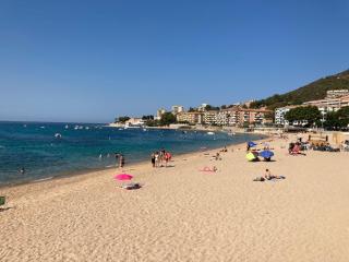 Trottel a Livia - Ajaccio - 5