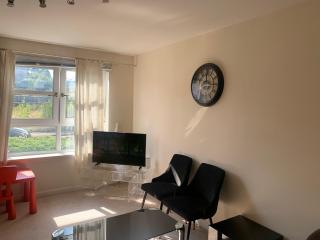 Holland 2 weeks plus Apt -No party please - 0