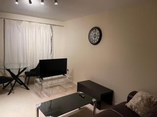 Holland 2 weeks plus Apt -No party please - 5