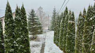 AMK House - Busteni - 9