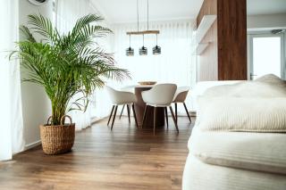 Anur Apartment - Ptuj - 1