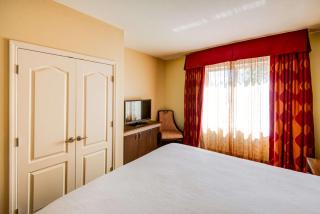Hilton Garden Inn Tampa Ybor Historic District - Tampa - 4
