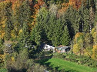 Ferienhaus mitten in der Natur - Meschede - 3