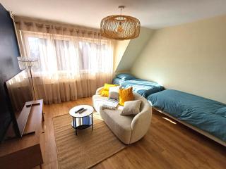 Confortable Spacieux Grand Rue - Garage - Saverne - 9