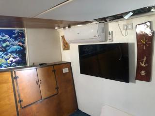 הפנינה הלבנה - 4