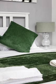 'Ample Apt Next to Cromwell Hospital in Kensington - Londen - 9