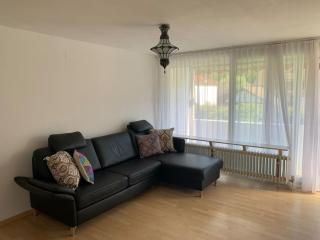 Simple Rhine view apartment - Busingen am Hochrhein - 5