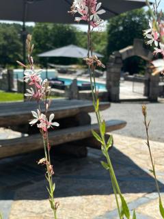 Domaine des Annouillards - 9