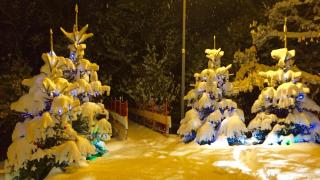 Alva Hotel & Spa - 3