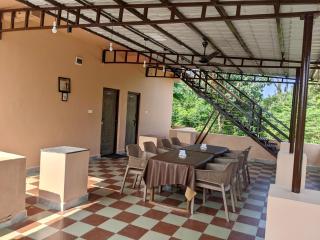 Erisha Tadoba - Mohurli - 1