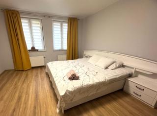 Apartament Matejki - Gorzów Wielkopolski - 1