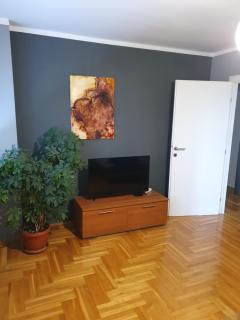 Comfortable apartment near the City Center - Banja Luka - 8