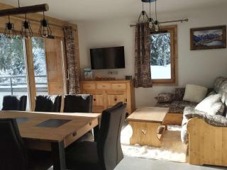Appartement luxueux 3 pièces, spa privé, skis aux pieds - FR-1-810-21 - Les Saisies - 0