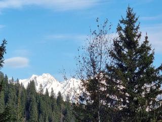 Appartement luxueux 3 pièces, spa privé, skis aux pieds - FR-1-810-21 - Les Saisies - 3