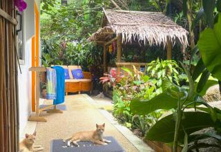 OASIS VILLA Suites & Rooms - Karon Beach - 6