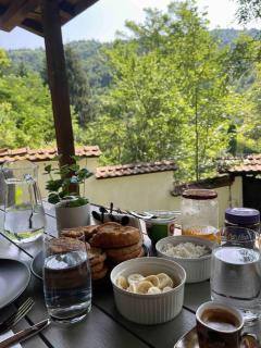 Forest Hill - Troyan - 1