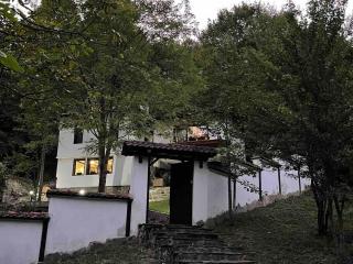 Forest Hill - Troyan - 9
