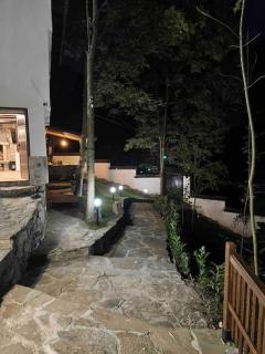 Forest Hill - Troyan - 6