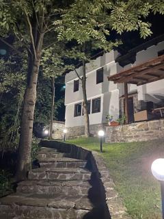 Forest Hill - Troyan - 8