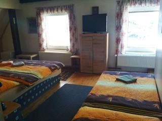 Penzion Kučera apartmán - 1