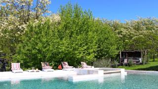 Mandarina suites - 8