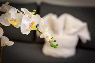 Christophe Studio Rouen centre - Rouen - 4