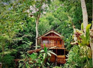 Bangtao Wooden house resort and cafe - Ban Thalat Choeng Thale - 9