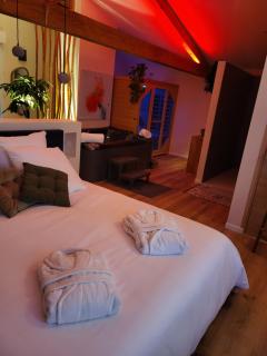 Suite l'Olive Sacrée Spa et Sauna - Cabannes - 1