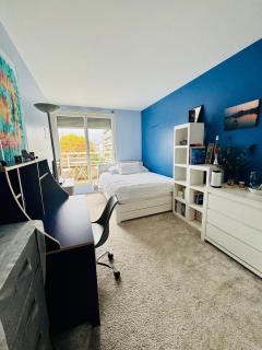 Chambre calme et lumineuse en plein coeur de Paris - Paris - 8