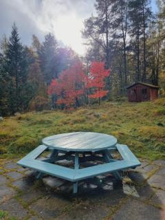 Our Log House in the woods - 6